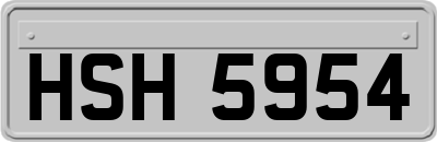 HSH5954