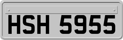 HSH5955