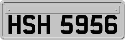 HSH5956