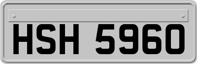 HSH5960