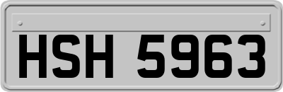 HSH5963