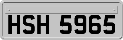 HSH5965
