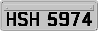 HSH5974