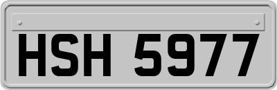 HSH5977