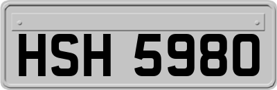 HSH5980