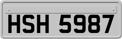 HSH5987