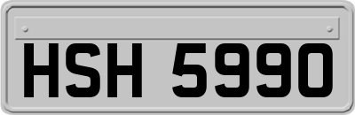 HSH5990