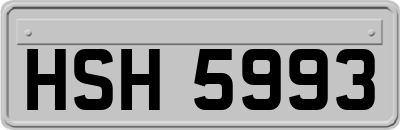 HSH5993