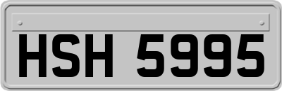 HSH5995