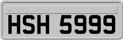 HSH5999