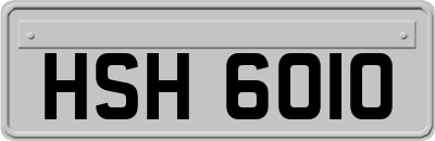 HSH6010