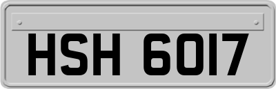 HSH6017