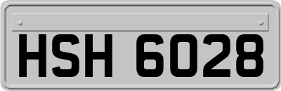 HSH6028