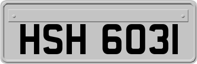 HSH6031