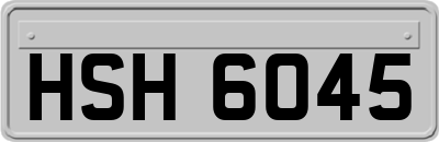 HSH6045