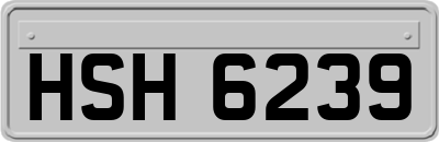 HSH6239
