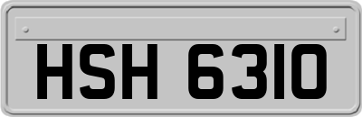 HSH6310