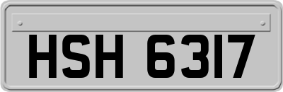 HSH6317