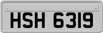 HSH6319