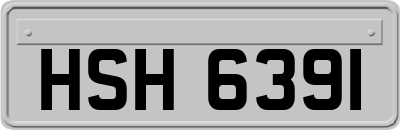 HSH6391