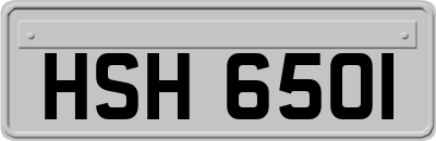 HSH6501