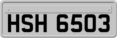 HSH6503