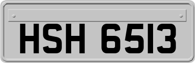 HSH6513
