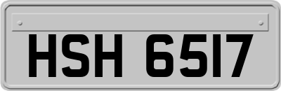 HSH6517