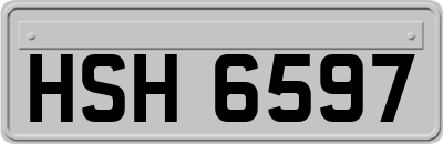 HSH6597
