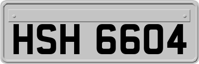 HSH6604