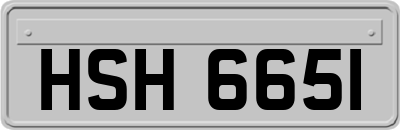HSH6651