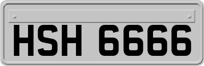 HSH6666