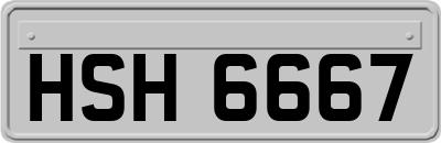 HSH6667