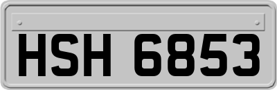HSH6853