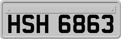 HSH6863