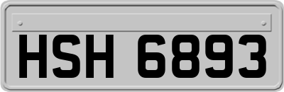 HSH6893