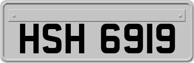 HSH6919