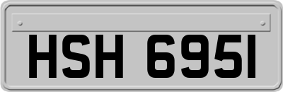 HSH6951