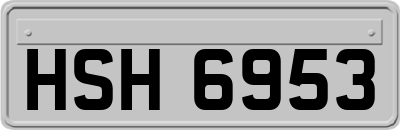 HSH6953