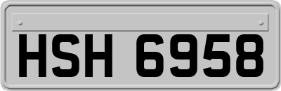 HSH6958