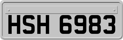 HSH6983