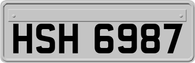 HSH6987