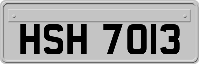 HSH7013