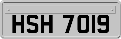 HSH7019
