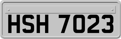 HSH7023