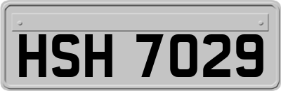 HSH7029