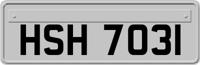 HSH7031