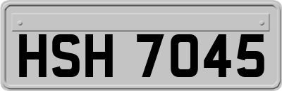 HSH7045