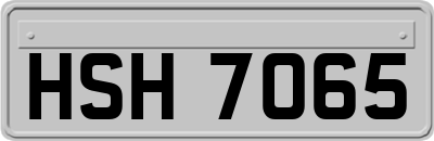 HSH7065