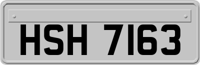 HSH7163